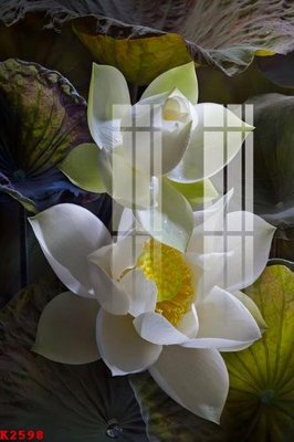 Tải file File gốc in tranh tổng hợp K2598 (PSD) cho in tranh kính