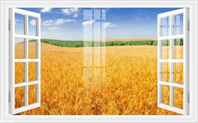 Download file File gốc in tranh tổng hợp K25997 (chất lượng in ấn)