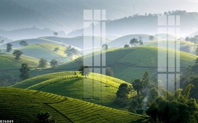 Download file File gốc in tranh tổng hợp K26049 (gốc) cho xưởng in