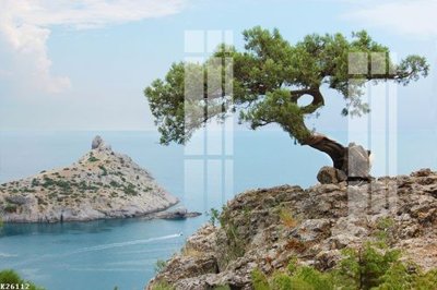 File gốc File gốc in tranh tổng hợp K26112 (cho in ấn) từ kho Filetranh