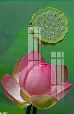 File in trần File gốc in tranh tổng hợp K26227 (file gốc) phong thủy