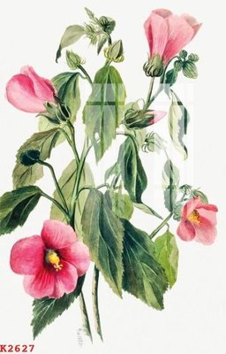 File tranh File gốc in tranh tổng hợp K2627 (bản gốc) treo tường