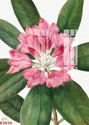 Tải file gốc File gốc in tranh tổng hợp K2636 (in khổ lớn) không mờ