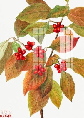 Chi tiết file ảnh File gốc in tranh tổng hợp K2641 sắc nét