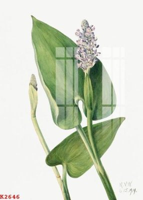 Tải file File gốc in tranh tổng hợp K2646 (gốc) chủ đề tôn giáo