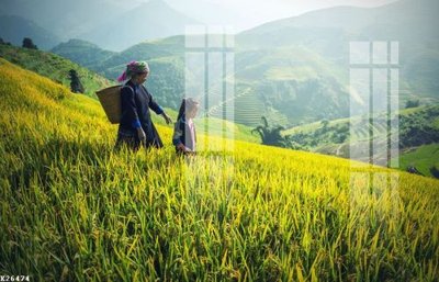 File gốc File gốc in tranh tổng hợp K26474 (phong cách) cổ điển