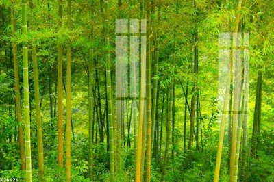 Tải file File gốc in tranh tổng hợp K26526 (ảnh gốc) in gạch 3D