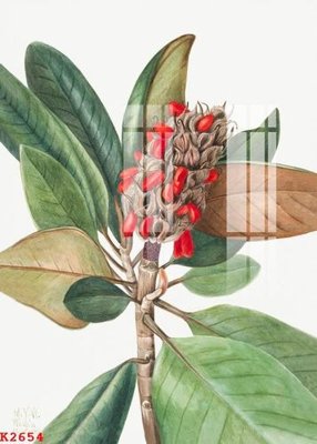 File gốc File gốc in tranh tổng hợp K2654 (PNG) chất lượng cao