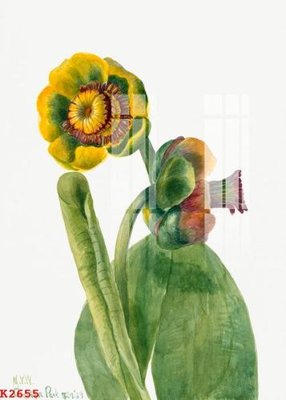 File ảnh File gốc in tranh tổng hợp K2655 (gốc) cho trang trí nhà hàng