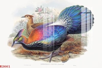 File tranh File gốc in tranh tổng hợp K2661 (gốc) chủ đề thiên nhiên