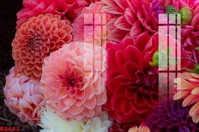 Tải file File gốc in tranh tổng hợp K2662 (ảnh gốc) 300dpi File gốc in tranh tổng hợp K2662