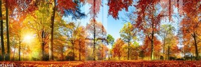 File tranh File gốc in tranh tổng hợp K26656 (bản gốc) in lụa dán tường