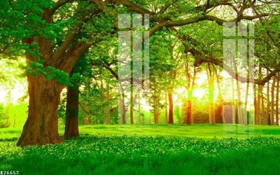 File gốc File gốc in tranh tổng hợp K26657 (in lụa) tranh mã đáo