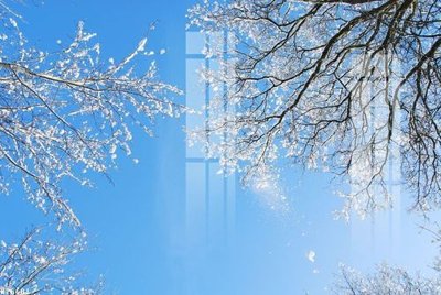 File tranh in mica File gốc in tranh tổng hợp K26681 (độ phân giải cao)