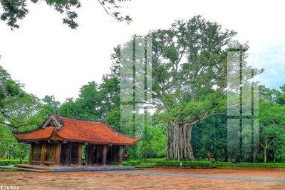 File PSD File gốc in tranh tổng hợp K26901 (nguyên bản) cho thiết kế