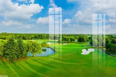 Hình ảnh file gốc in lụa File gốc in tranh tổng hợp K26956