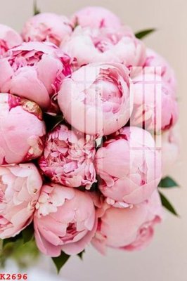 File gốc File gốc in tranh tổng hợp K2696 (in lụa) họa tiết 3D