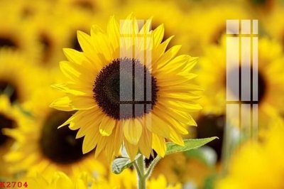 Tải file gốc in lụa File gốc in tranh tổng hợp K2704 siêu nét