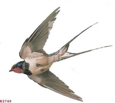 File gốc File gốc in tranh tổng hợp K2749 (in mica) làm bảng hiệu