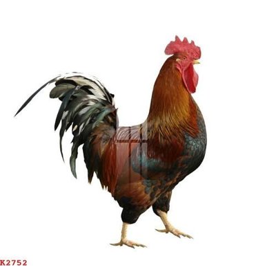 File gốc File gốc in tranh tổng hợp K2752 (phong cách) cổ điển