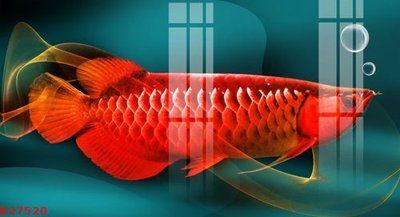 File PSD File gốc in tranh tổng hợp K27520 (bản gốc) chất lượng nhất