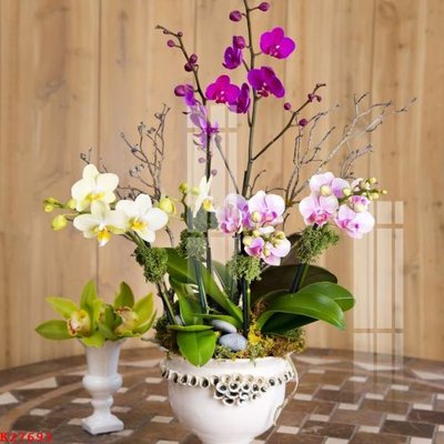 File gốc File gốc in tranh tổng hợp K27693 (cho in ấn) độc quyền