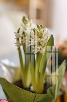 Download file gốc File gốc in tranh tổng hợp K27697 (dùng cho in ấn)