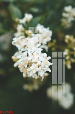 Tải file gốc File gốc in tranh tổng hợp K27698 (để in lụa)