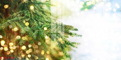 File in ấn File gốc in tranh tổng hợp K27779 (bản gốc) cao cấp