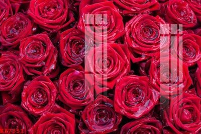 File in mica File gốc in tranh tổng hợp K27851 (bản gốc) sắc sảo