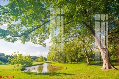 Tải file File gốc in tranh tổng hợp K27853 (gốc) in ấn ngay lập tức