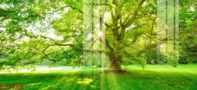 Mua file gốc File gốc in tranh tổng hợp K27866 (in ấn) tại Filetranh.com