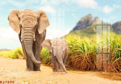 Mua file ảnh gốc File gốc in tranh tổng hợp K27895 (chất lượng cao)