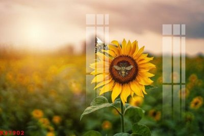 File gốc File gốc in tranh tổng hợp K27902 (in mica) trang trí