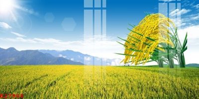 Download file File gốc in tranh tổng hợp K27908 (gốc) in mica ốp bếp