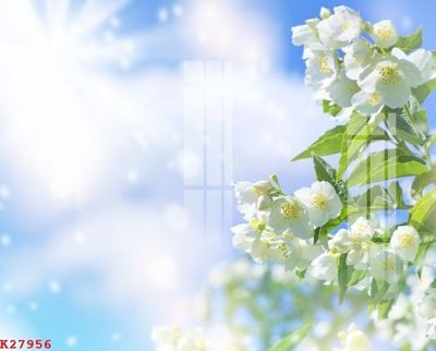 File gốc File gốc in tranh tổng hợp K27956 (chuẩn màu) cho in offset