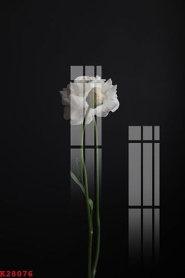 File tranh gốc in trần nhà File gốc in tranh tổng hợp K28076 3D