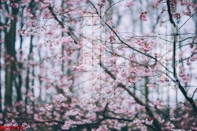 File gốc File gốc in tranh tổng hợp K28078 (trang trí) phòng làm việc