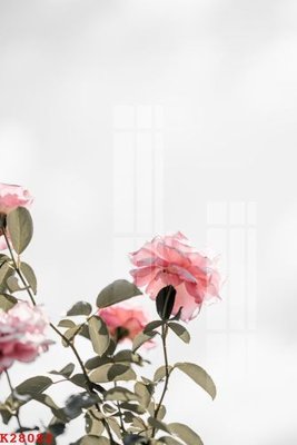 File in trần File gốc in tranh tổng hợp K28082 (file gốc) chủ đề vũ trụ