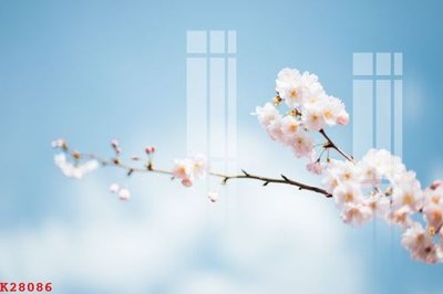 File gốc File gốc in tranh tổng hợp K28086 (chuẩn màu) cho in offset