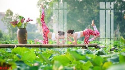 File gốc File gốc in tranh tổng hợp K2811 (PNG) không nền chất lượng