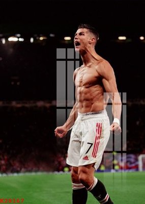 File tranh File gốc in tranh tổng hợp K28167 (bản gốc) in lụa 5D