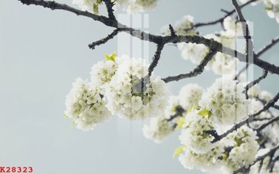 Tải file File gốc in tranh tổng hợp K28323 (ảnh gốc) in tráng gương