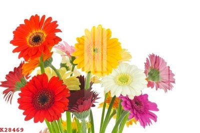 Tệp tin gốc File gốc in tranh tổng hợp K28469 (dùng cho in) File gốc in tranh tổng hợp K28469