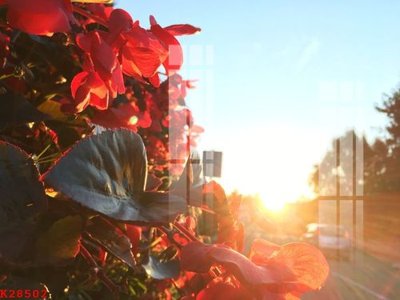 File gốc in ấn File gốc in tranh tổng hợp K28502 (sẵn sàng tải về)