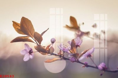 Tải file File gốc in tranh tổng hợp K28543 (gốc) làm file thiết kế