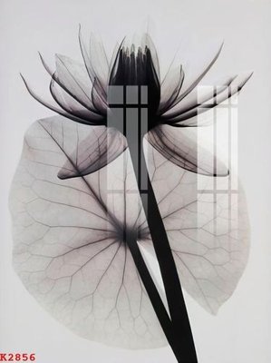 File PSD File gốc in tranh tổng hợp K2856 (chất lượng in ấn)