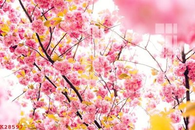 File in trần File gốc in tranh tổng hợp K28597 (file gốc) phong thủy