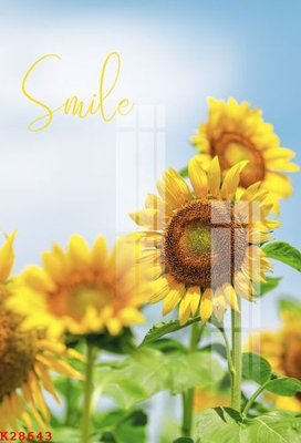 File gốc in mica File gốc in tranh tổng hợp K28643 chất lượng