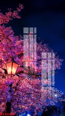 File tranh File gốc in tranh tổng hợp K28684 (gốc) chủ đề tĩnh vật